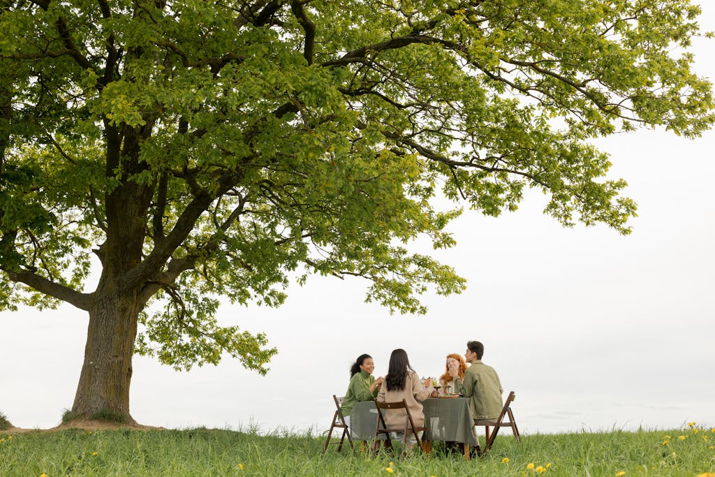 Friends enjoying a picnic under a large oak tree outdoors on a sunny day.